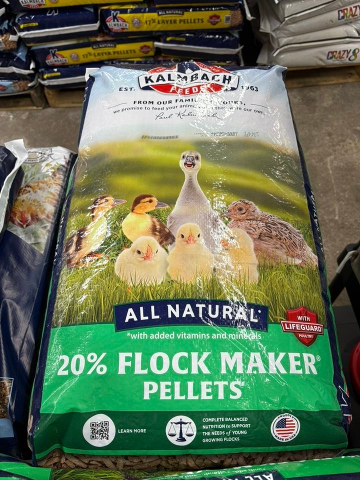 Poultry Feed Pallet – Bulk Chicken Feed Starter, Grower & Finisher - Image 7