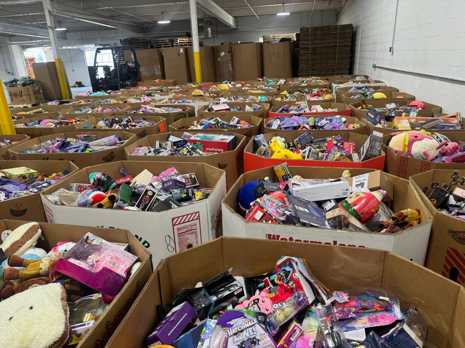 Premium Toys Liquidation 500 Pieces Per Pallet - Image 5